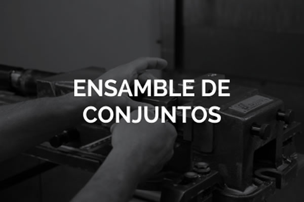 Ensamble de conjuntos